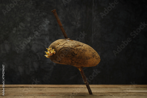 Raw potatoes on a dark background