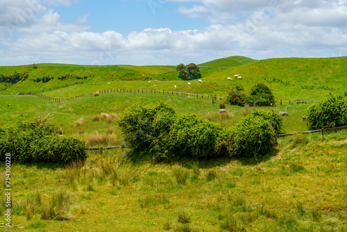 Rolling Hills of farmland 
