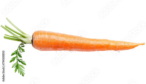 A single carrot with leaves and stem on white background