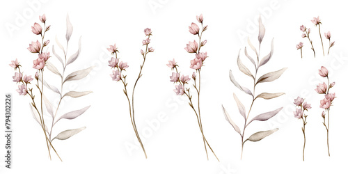 Set of watercolor botanical autumn illustration branches and light pink flowers. Autumn floral illustration. Fall vibes. Hand painted drawing isolated on white background. floral herds pastel color photo