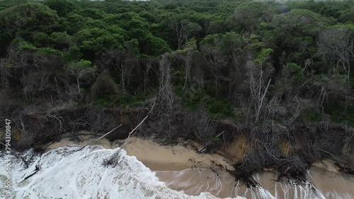 Mangrove on the Malembá Beach - Senador Georgino Avelino - Rio Grande do Norte, Brazil photo