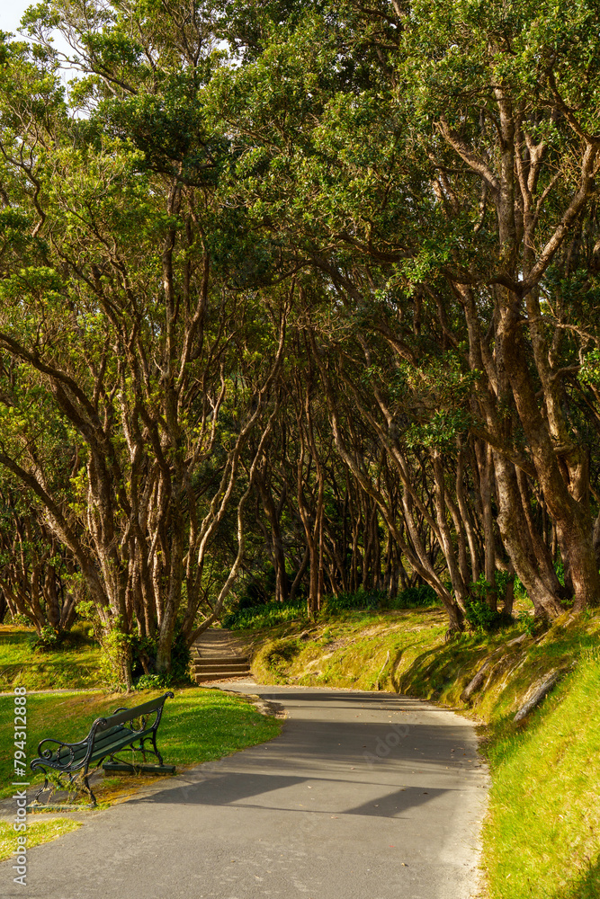 A winding road in the park A winding road in the park