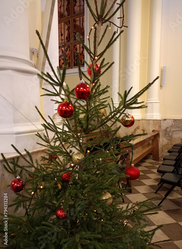 Decorated live Christmas tree with glass red and gold balls in front of the window and columns in the Cathedral of the Immaculate Conception of the Blessed Virgin Mary in Moscow at Christmas