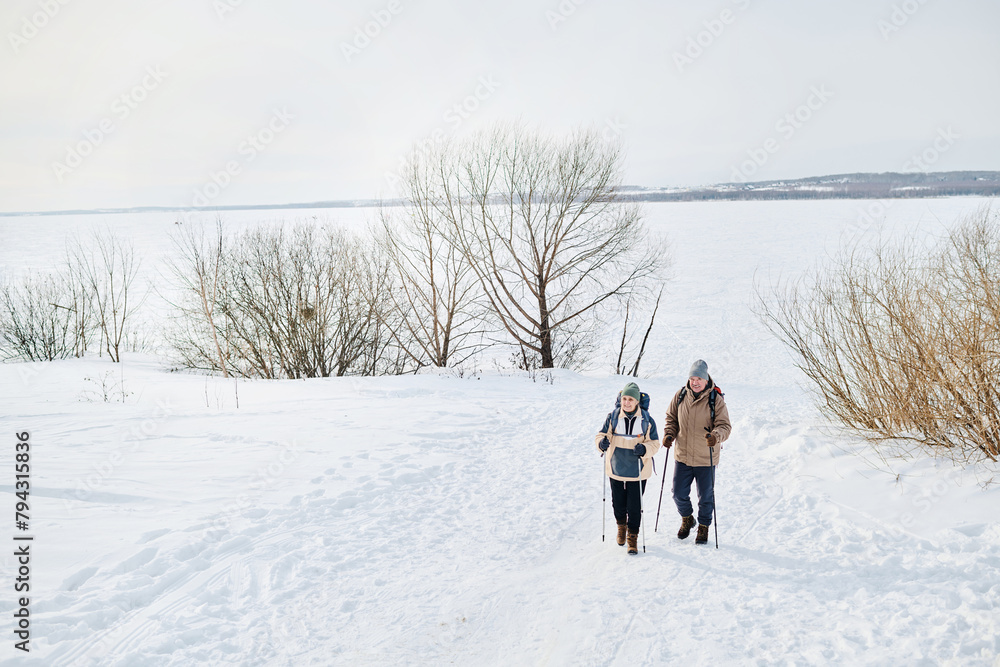 Extreme long shot of joyful senior man and woman wearing backpacks hiking on cold winter day using trekking poles, copy space