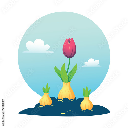 Three sprouted tulip bulbs in a garden bed against a background of blue sky and clouds. Pink tulip. Bright spring vector illustration on the theme of floriculture and gardening.