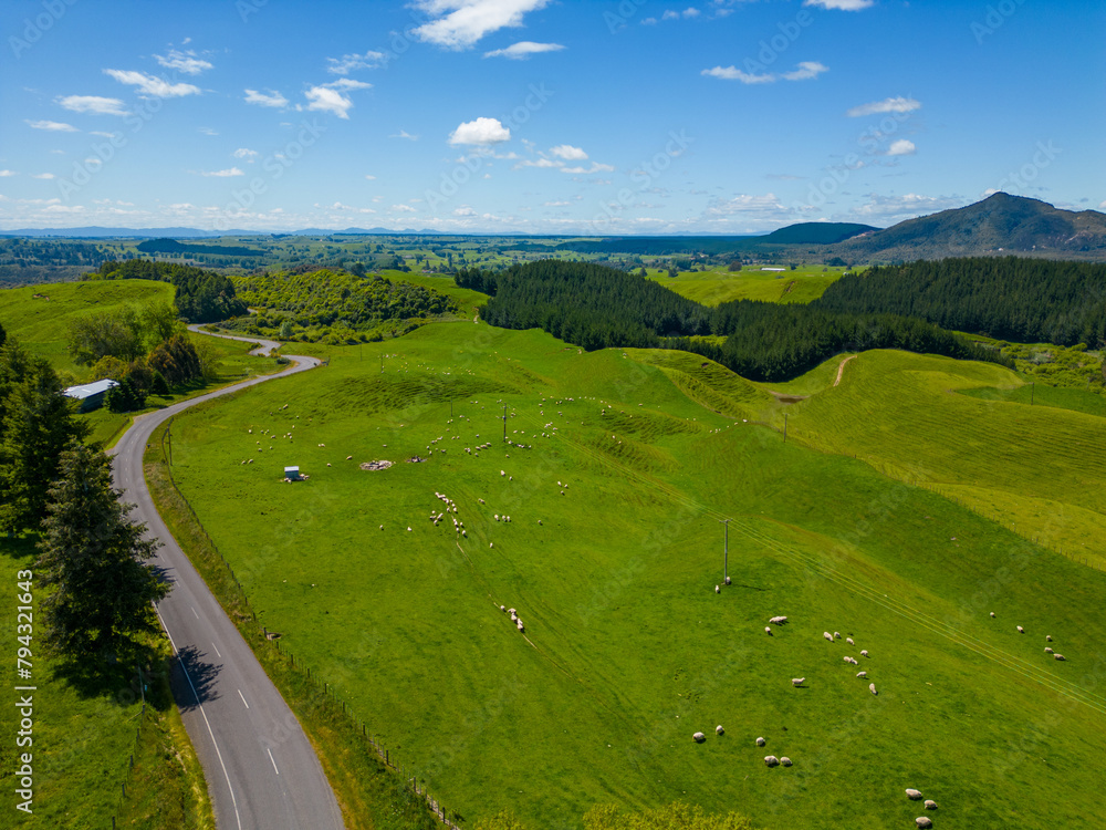Aerial View of Rolling Hills in New Zealand