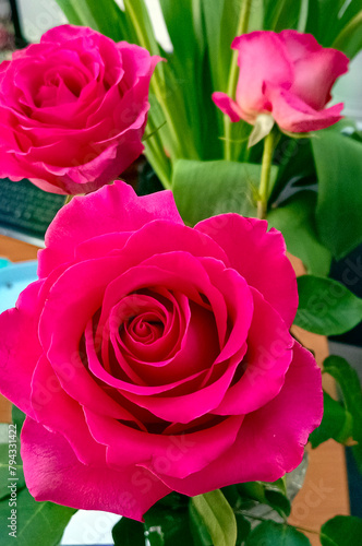Pink roses flowers close-up background. Beautiful floral natural background. Vertical photography.