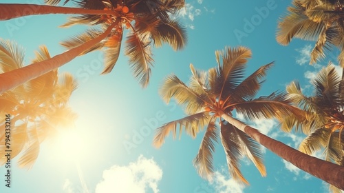 Blue sky and palm trees view from below, vintage style, tropical beach and summer background.