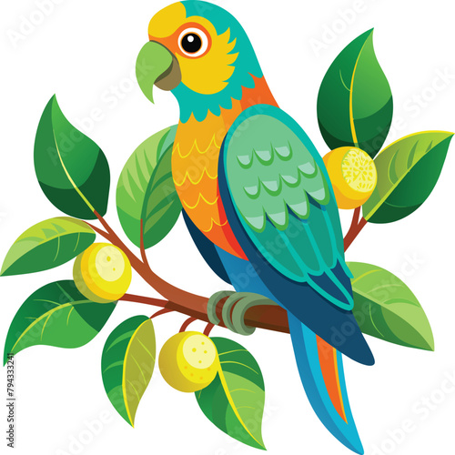 Parrot bird vector illustration