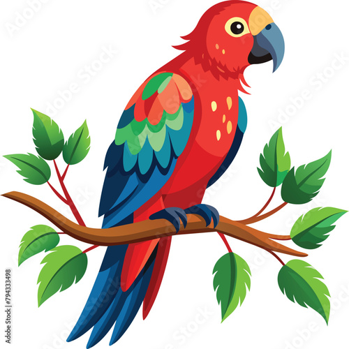 Parrot bird vector illustration