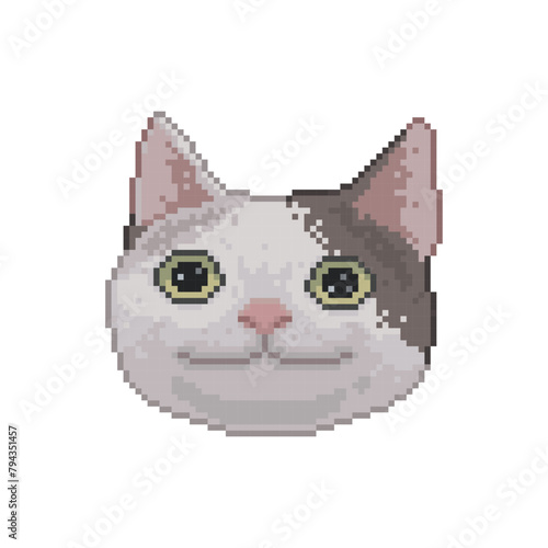 Cat with poker face, pixel art meme