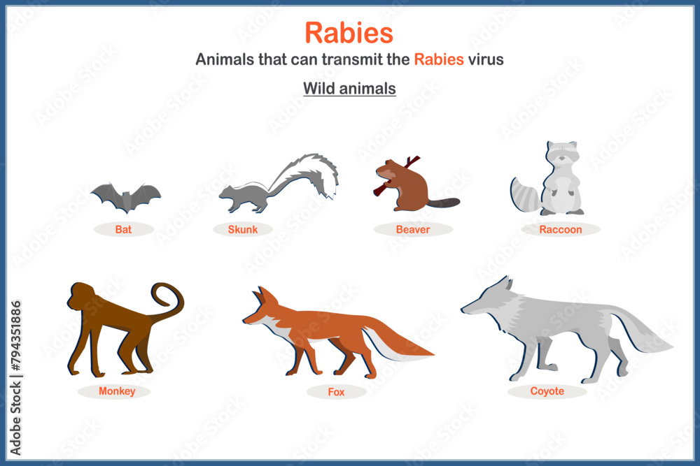 Medical vector illustration in flat style. The concept of rabies vectors from wild animals such as bats, skunks, beavers, raccoons, monkeys, wolves, foxes, coyotes.