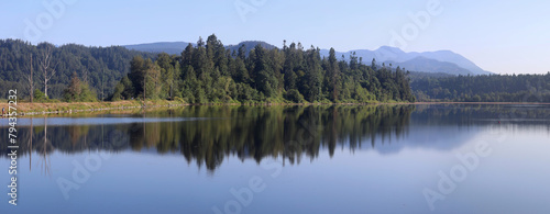 Panorama with trees reflected in tranquil lake