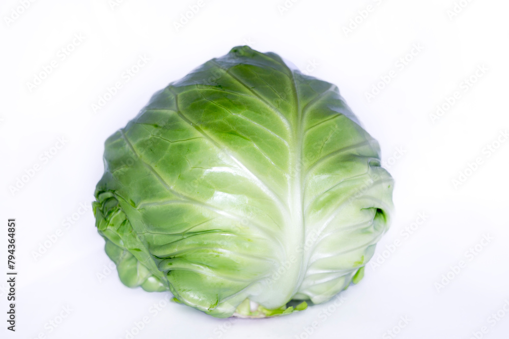 Fototapeta premium cabbage isolated on white background
