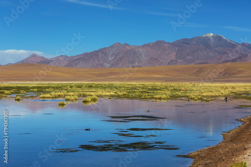 Lake in Chile