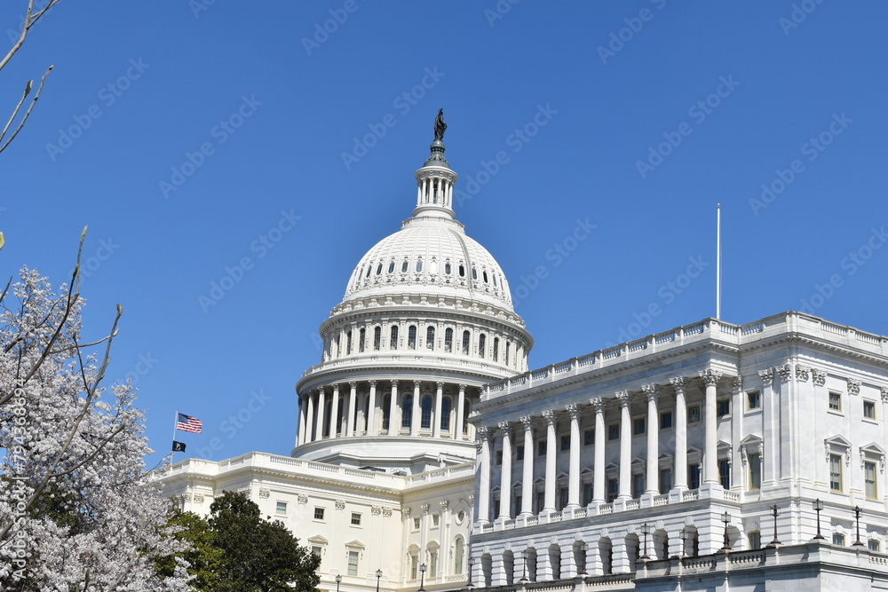 Obraz premium country capitol building