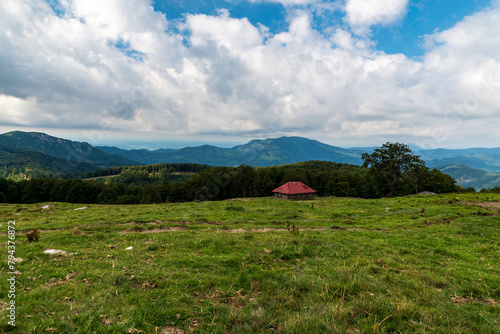 Tableau sur toile Isolates chalet for sheep helder on meadow with forest around and higher hills o