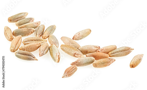 Group of rye grains isolated on a white background. Macro.