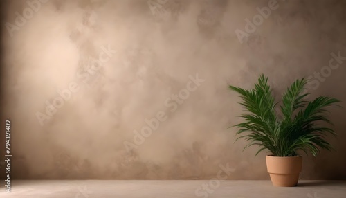 plant and stucco wall background for zoom calls.