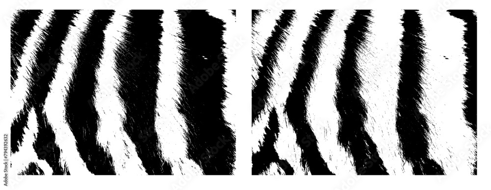 Fototapeta premium monochrome zebra or tiger fur background. Not AI, Vector illustration