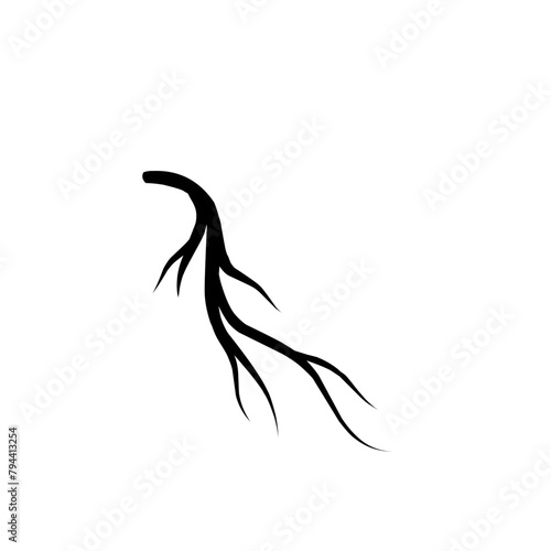 nerve neuron vector silhouette