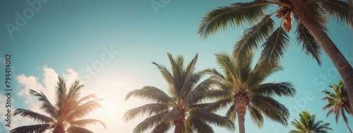 Sunlight Filtering Through Tropical Palm Tree with Retro Sky Background, Copy Space Included.