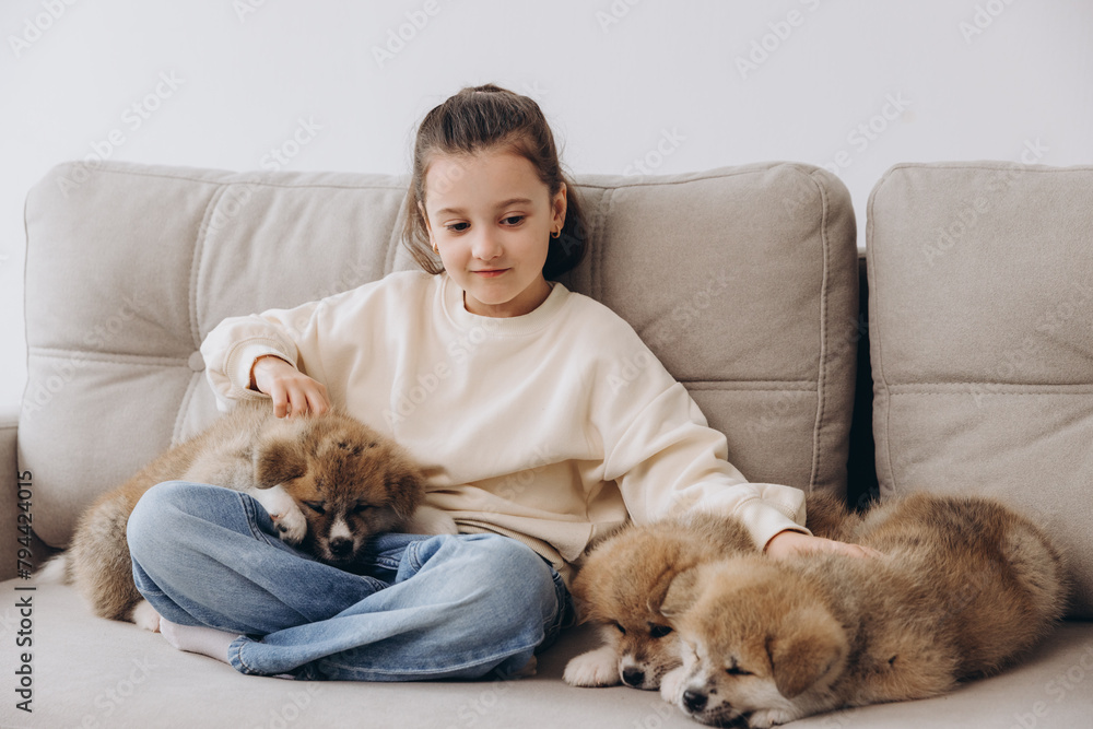 Little happy smiling girl playing and hugging Akita Inu puppies at home on sofa Little happy smiling girl playing and hugging Akita Inu puppies at home on sofa