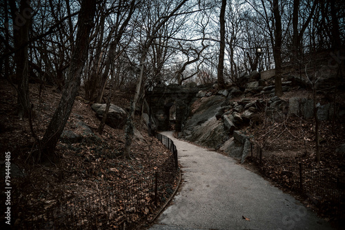 path in the woods