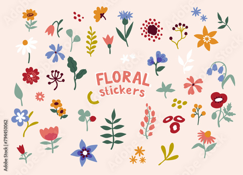 Set of flower stickers and geometric shapes. Botanical elements, spring stickers with plants.