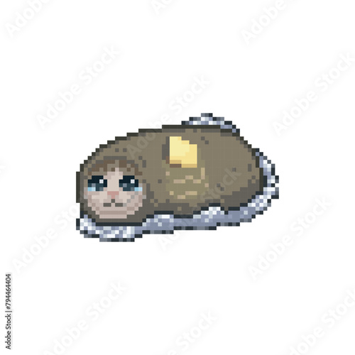 Tamale cat, pixel art meme