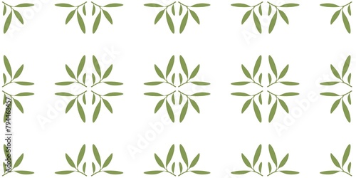 Mistletoe branch with leaves olive summer spring winter seamless repeating pattern green fresh minimalistic floral design element isolated white background floral line contour high quality surface