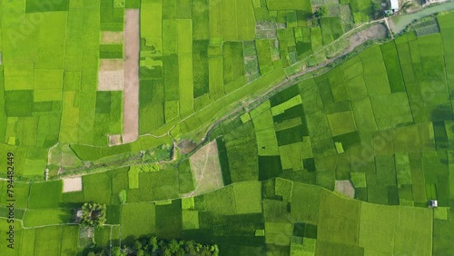 An aerial view showcasing lush green rice fields spreading as far as the eye can see