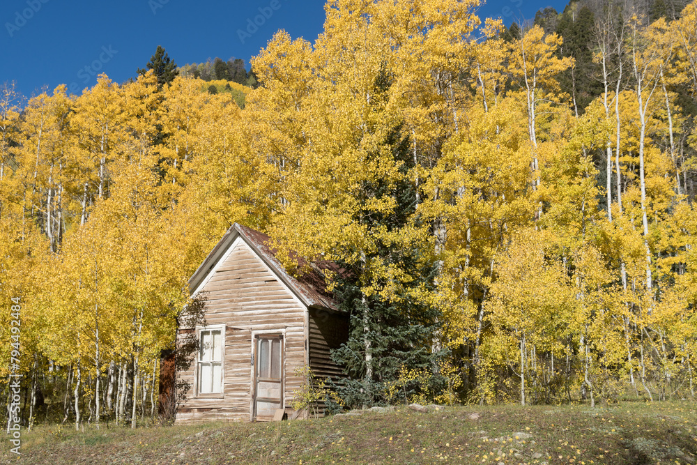 An old victorian wooden cabin in a middle of a raw of aspen trees in full fall colors, Durango, Colorado An old victorian wooden cabin in a middle of a raw of aspen trees in full fall colors, Durango, Colorado