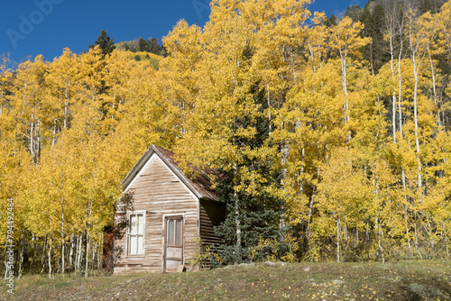 An old victorian wooden cabin in a middle of a raw of aspen trees in full fall colors, Durango, Colorado