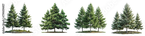  Eastern Hemlock Trees Hyperrealistic Highly Detailed Isolated On Transparent Background Png File photo