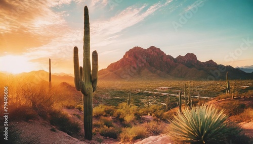 arizona desert view with superstitious mountains and saguaro cactus at sunset phoenix usa