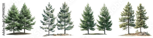 Winter Snow Pine Tree View  Hyperrealistic Highly Detailed Isolated On Transparent Background Png File  Hyperrealistic Highly Detailed Isolated On Transparent Background Png File