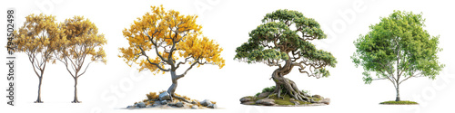 Katsura Trees Hyperrealistic Highly Detailed Isolated On Transparent Background Png File