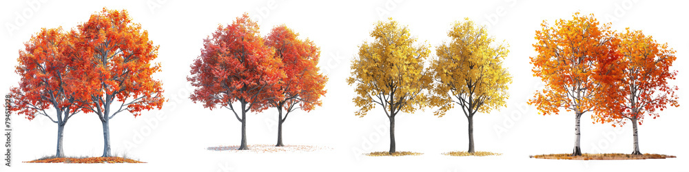 Sugar Maple Trees Hyperrealistic Highly Detailed Isolated On Transparent Background Png File