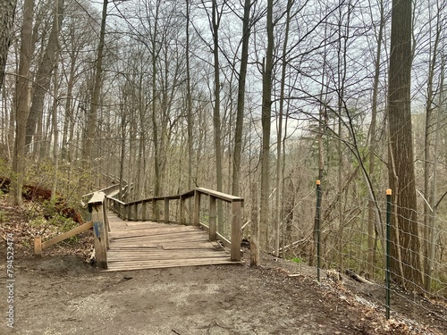 path in the woods