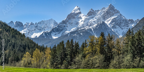 Fototapeta Naklejka Na Ścianę i Meble -  panorama of the mountains
