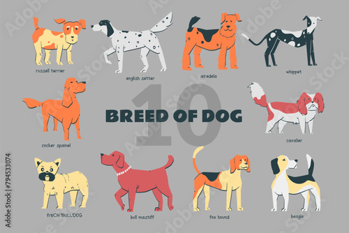 Breed of Dog set handdrawn doodle illustration with various pose
