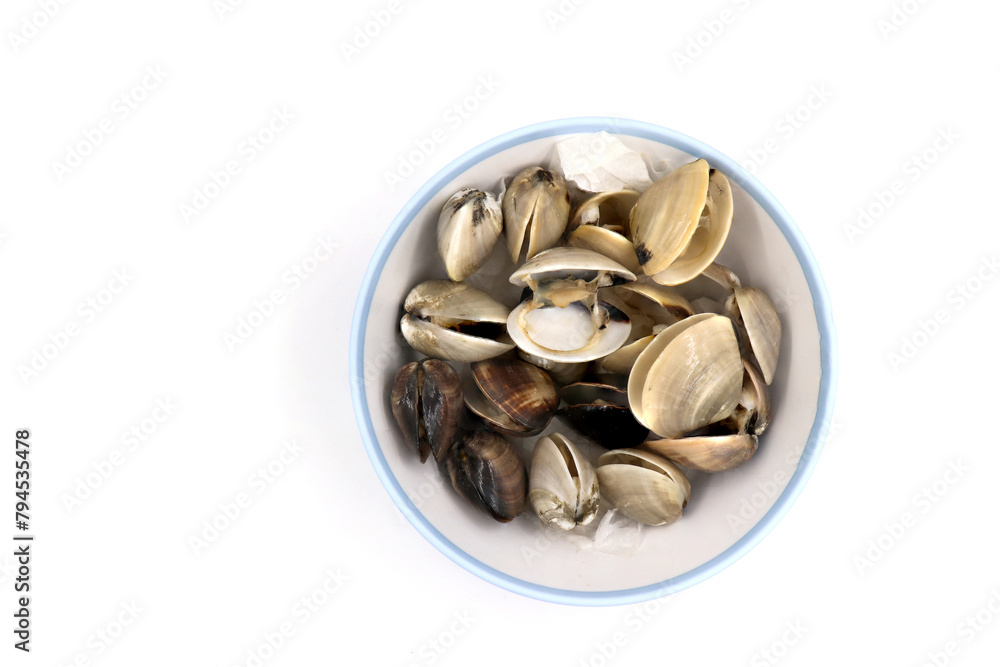Closed up fresh baby clams, venus shell, shellfish, carpet clams, short necked clams, as raw food from the sea are the seafood ingredients. fresh clams Background. Closed up fresh baby clams, venus shell, shellfish, carpet clams, short necked clams, as raw food from the sea are the seafood ingredients. fresh clams Background.