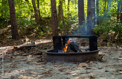 Fire pit surrounded by woods