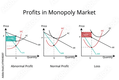 type of profit in monopoly market in economics graph