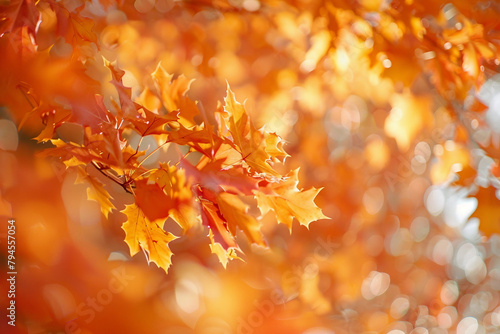 blurred photograph of autumn. outoffocus photograph