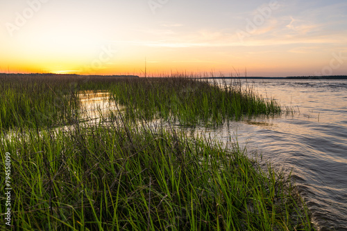 Marsh grasses by river at sunset