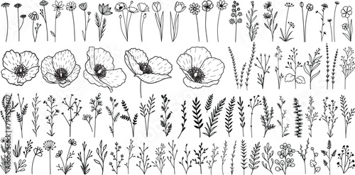Minimalist hand drawn flowers, leaves, branches and Welsh poppy with editable stroke thickness for logo, tatoo, wedding card design element.. Vector illustration.