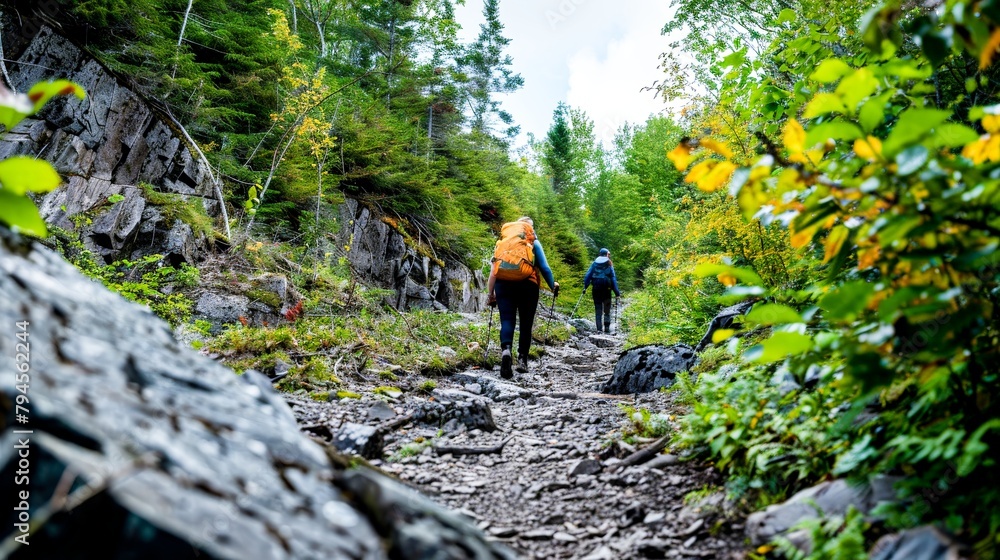 An accessible hiking trail filled with diverse hikers, where every step taken is a testament to resilience and the beauty of nature. An accessible hiking trail filled with diverse hikers, where every step taken is a testament to resilience and the beauty of nature.