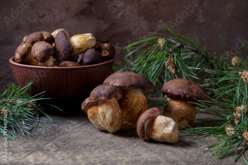 Imleria Badia or Boletus badius mushrooms commonly known as the bay bolete and clay bowl with mushrooms on vintage wooden background..